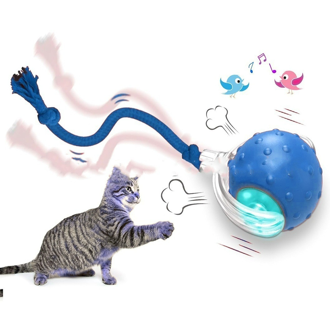Interactive Cat Toy Ball – Super Drive Rolling Fun for Indoor Cats