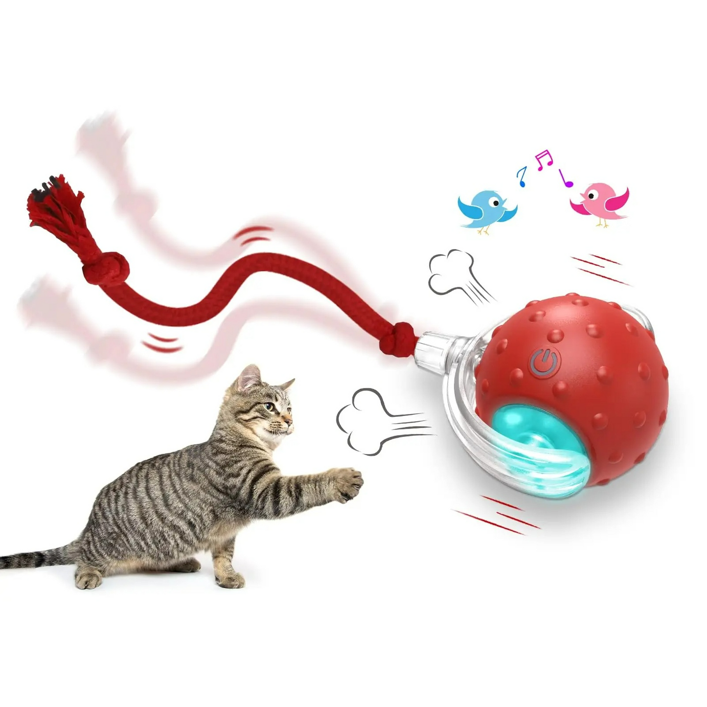 Interactive Cat Toy Ball – Super Drive Rolling Fun for Indoor Cats