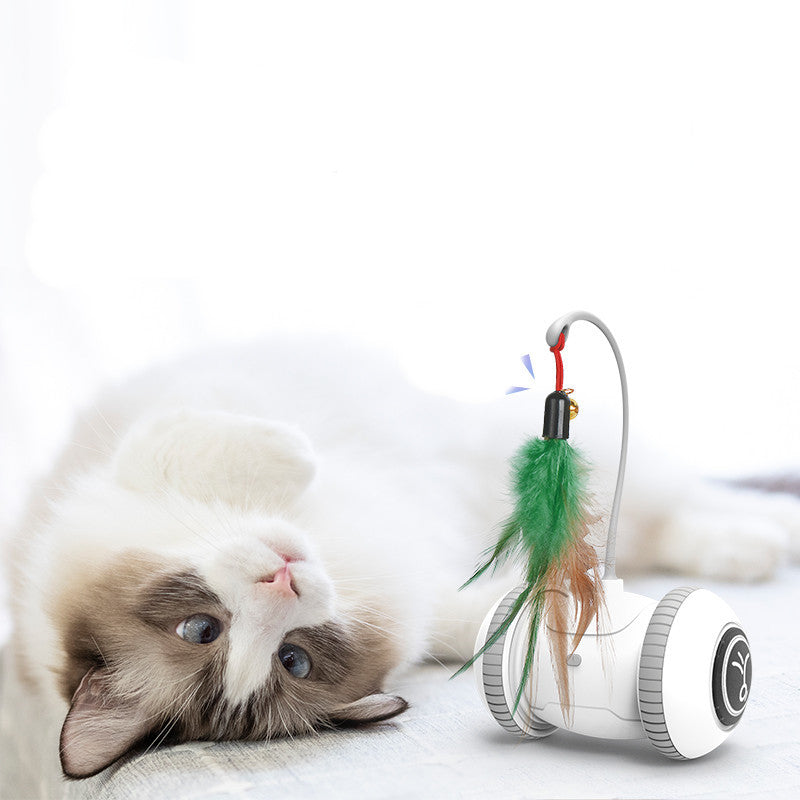 Interactive Automatic Cat Toy with Interchangeable Feather & Plush Heads – Smart Robotic Pet Teaser for Indoor Cats