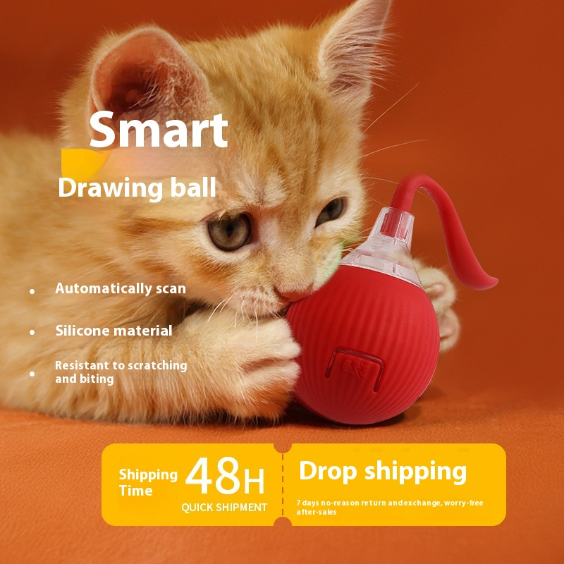 Interactive Cat Toy Ball – Super Drive Rolling Fun for Indoor Cats