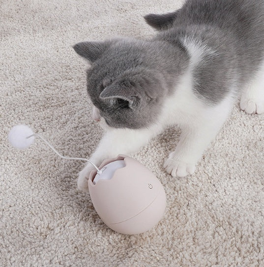 Interactive Electric Cat Toy – Funny Knot Ball for Indoor Cats