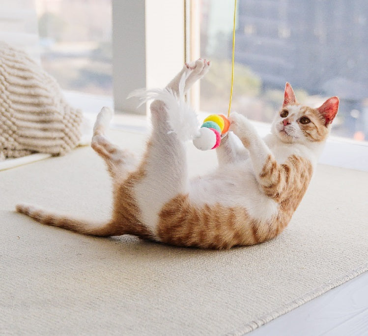 Interactive Hanging Cat Toy with Feather & Elastic Rope – 2M Telescopic Teaser