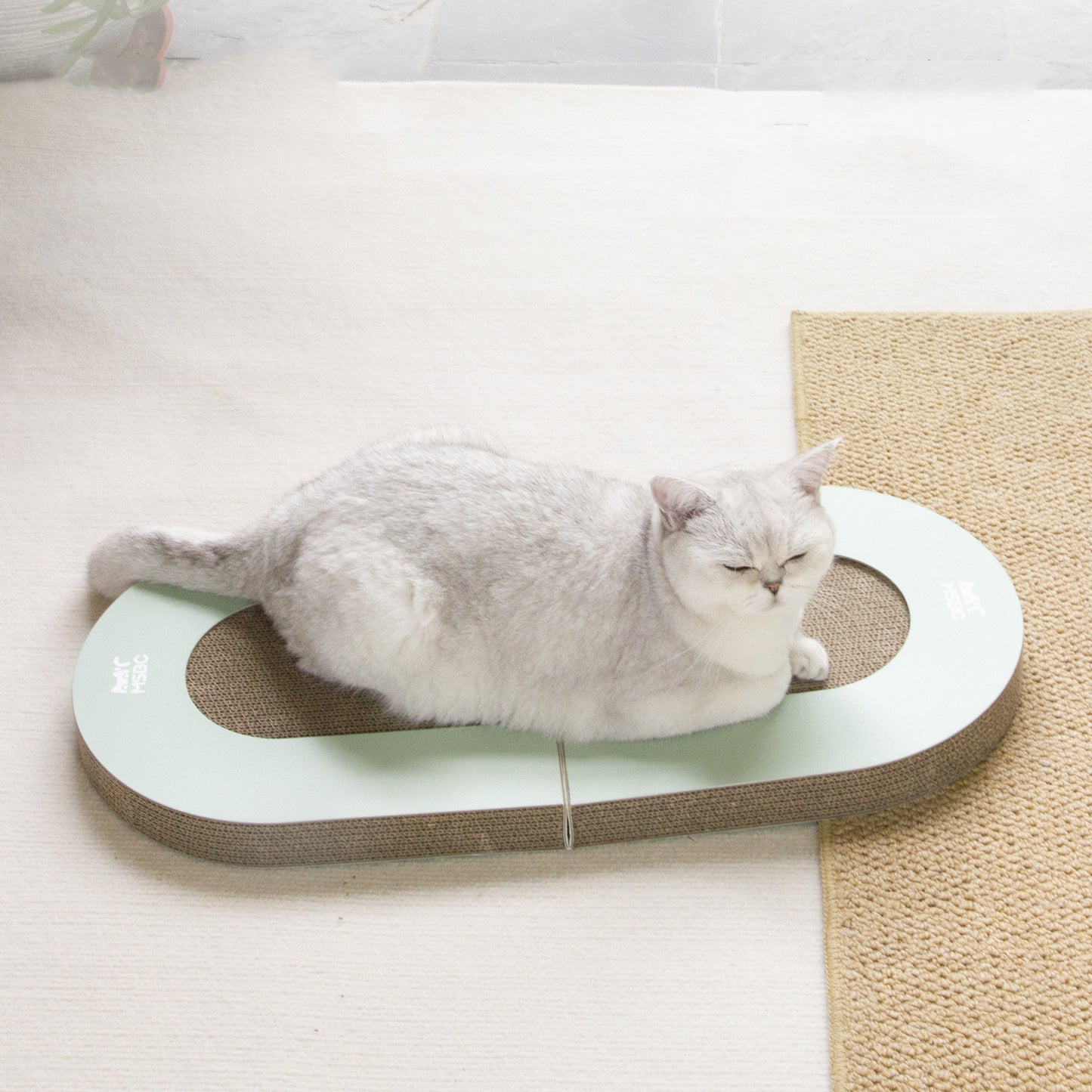 Folding Cat Scratcher Board with Ball