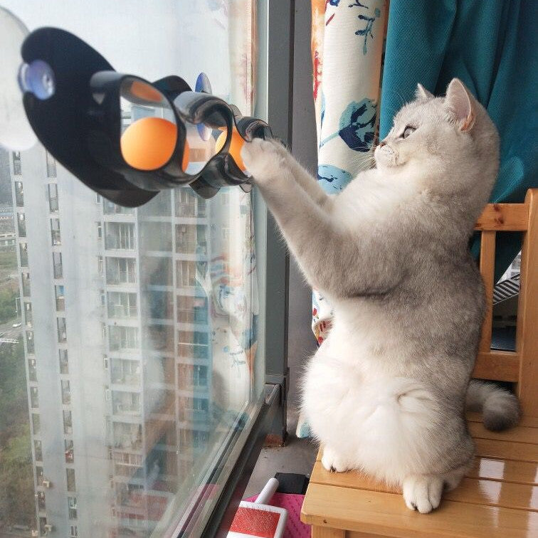 Windowsill Cat Track Ball Toy – Interactive Space-Saving Pet Toy