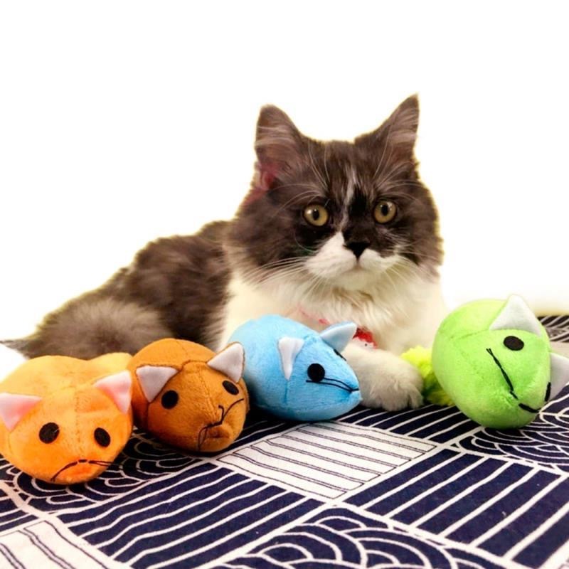 Interactive Catnip Mouse Toy with Long Plush Tail – Fun Self-Play for Cats