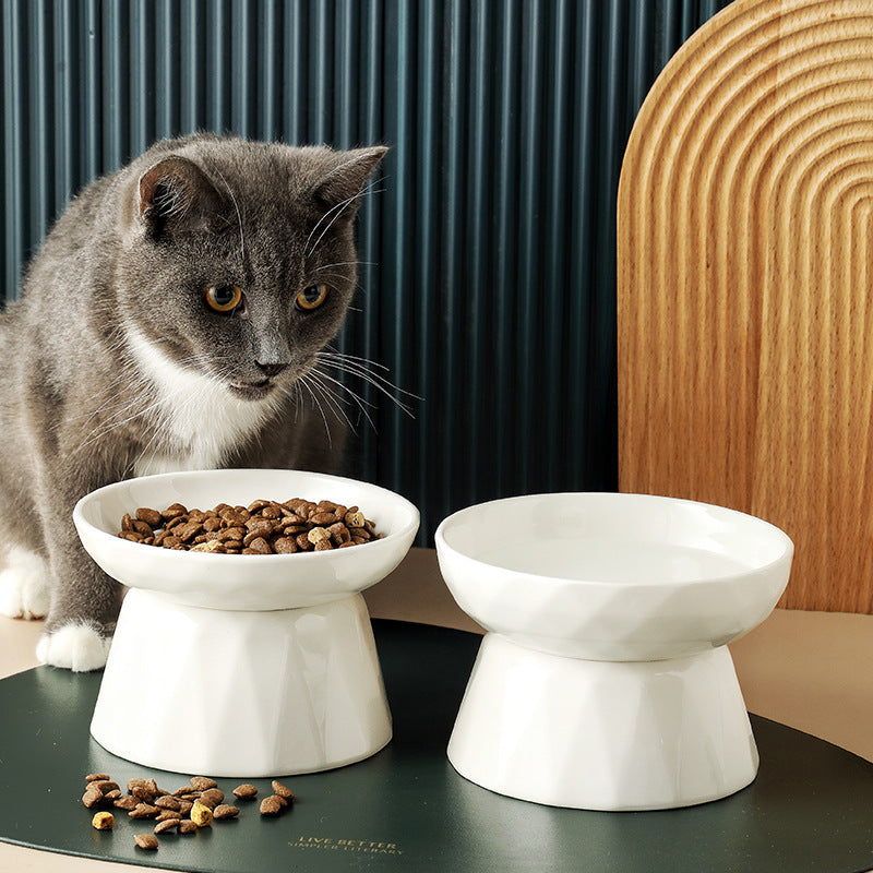 Elevated Ceramic Cat Bowl – Spine-Protecting Pet Feeder