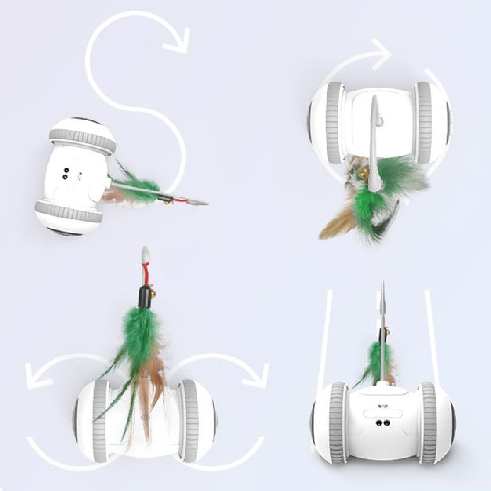 Interactive Automatic Cat Toy with Interchangeable Feather & Plush Heads – Smart Robotic Pet Teaser for Indoor Cats