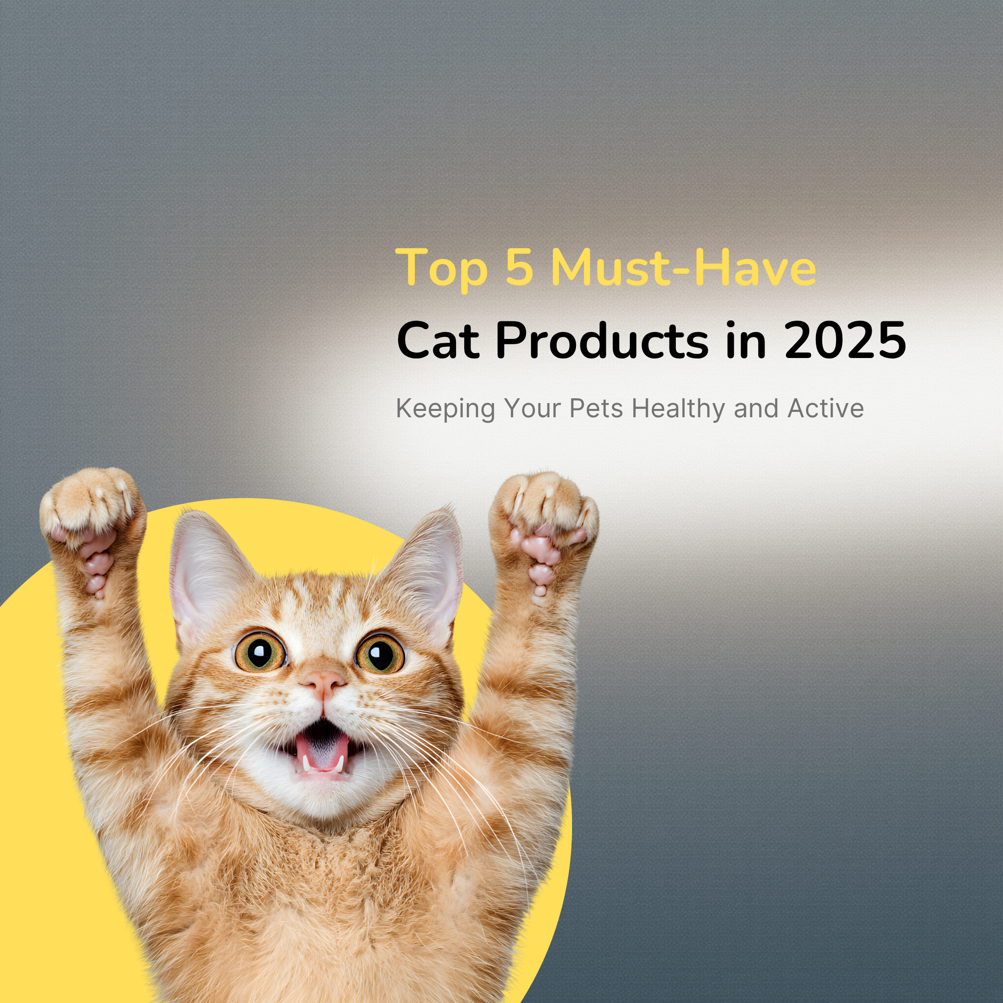 Top 5 Must-Have Cat Products in 2025