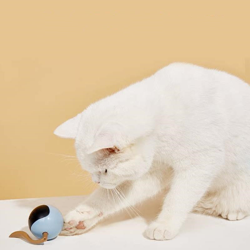 Pet Smart Interactive LED Rotating Ball | 360° Automatic Cat Toy with Lights