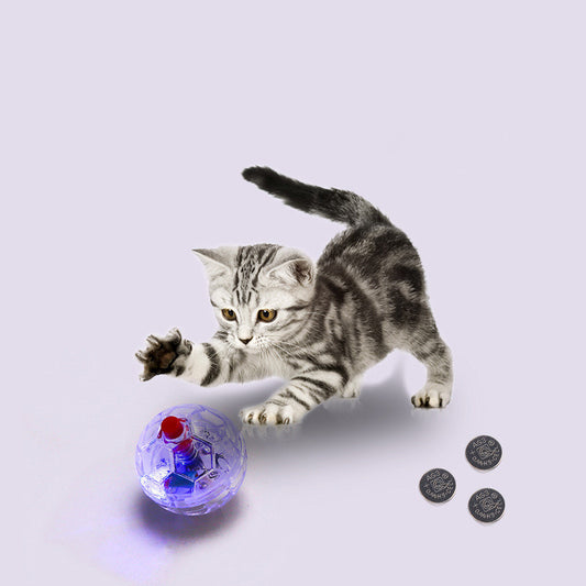 LED Glowing Cat Toy Ball – Interactive Light-Up Pet Training Ball for Cats & Dogs