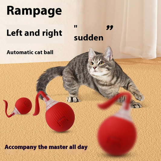 Interactive Cat Toy Ball – Super Drive Rolling Fun for Indoor Cats
