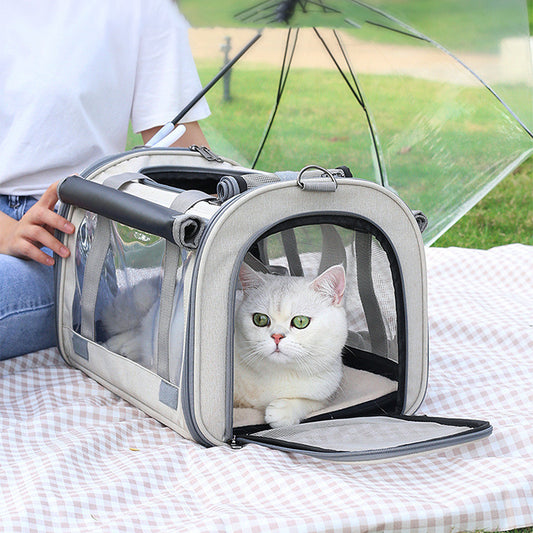 Outdoor Portable Pet Carrier Bag – Transparent Breathable Foldable Travel Backpack for Small Pets