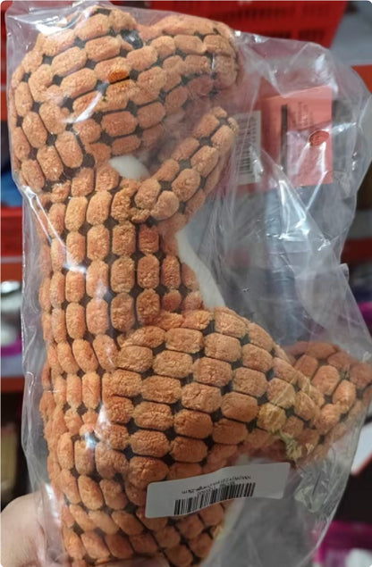 Dinosaur Dog Chew Toy with Squeaker – Plush Interactive Pet Toy for Large & Small Dogs