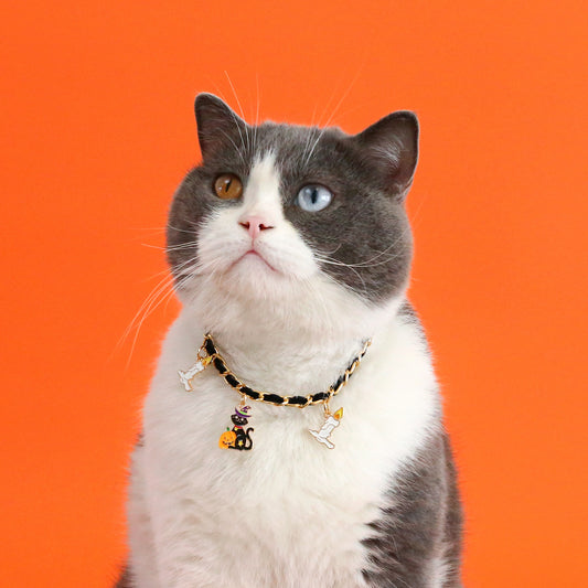 Halloween Pet Collar with Velvet Bat Accessories – Adjustable Pumpkin, Ghost & Spider Necklace for Cats and Dogs