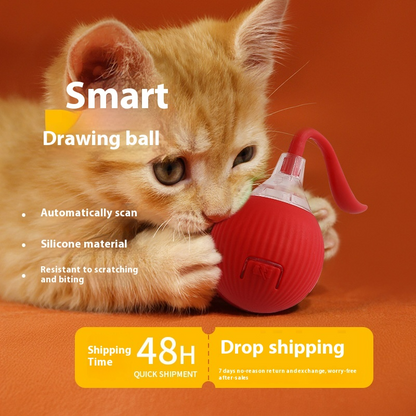 Interactive Cat Toy Ball – Super Drive Rolling Fun for Indoor Cats