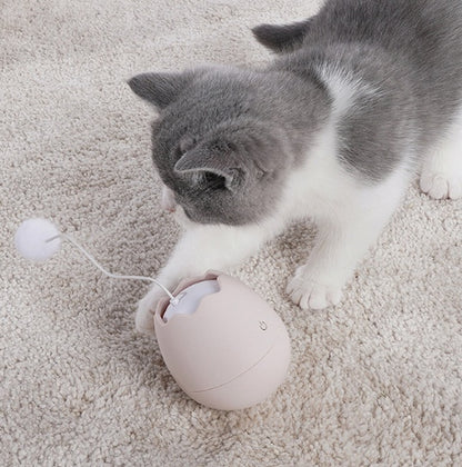 Interactive Electric Cat Toy – Funny Knot Ball for Indoor Cats