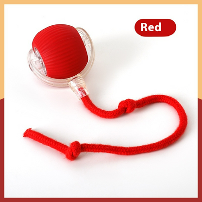 Interactive Cat Toy Ball – Super Drive Rolling Fun for Indoor Cats