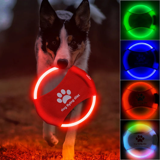 LED Light Up Dog Flying Disc – USB Rechargeable Glowing Frisbee Toy for Night Training, Interactive Fetch & Outdoor Play