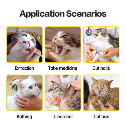 Cat Travel Carrier Bag – Double-Lined, Anti-Scratch, Soft Polyester Pet Bag for Small & Medium Cats