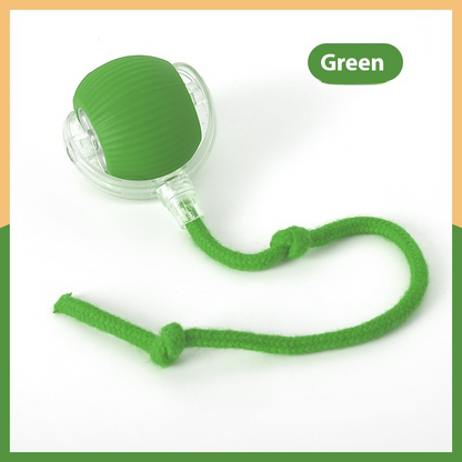 Interactive Cat Toy Ball – Super Drive Rolling Fun for Indoor Cats