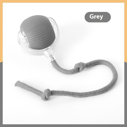 Interactive Cat Toy Ball – Super Drive Rolling Fun for Indoor Cats