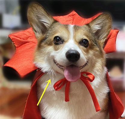 Halloween Pet Costume Vampire King Cape for Dogs and Cats | Adjustable Black Cloak with Lace Collar | Pet Halloween Outfit for Small Pets