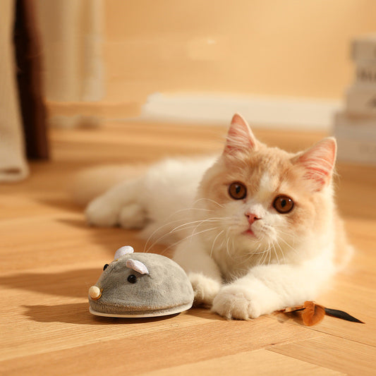 Interactive Electric Mouse Cat Toy with Wand Stick – Battery Powered Chase & Exercise Play