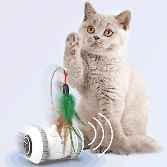 Interactive Automatic Cat Toy with Interchangeable Feather & Plush Heads – Smart Robotic Pet Teaser for Indoor Cats